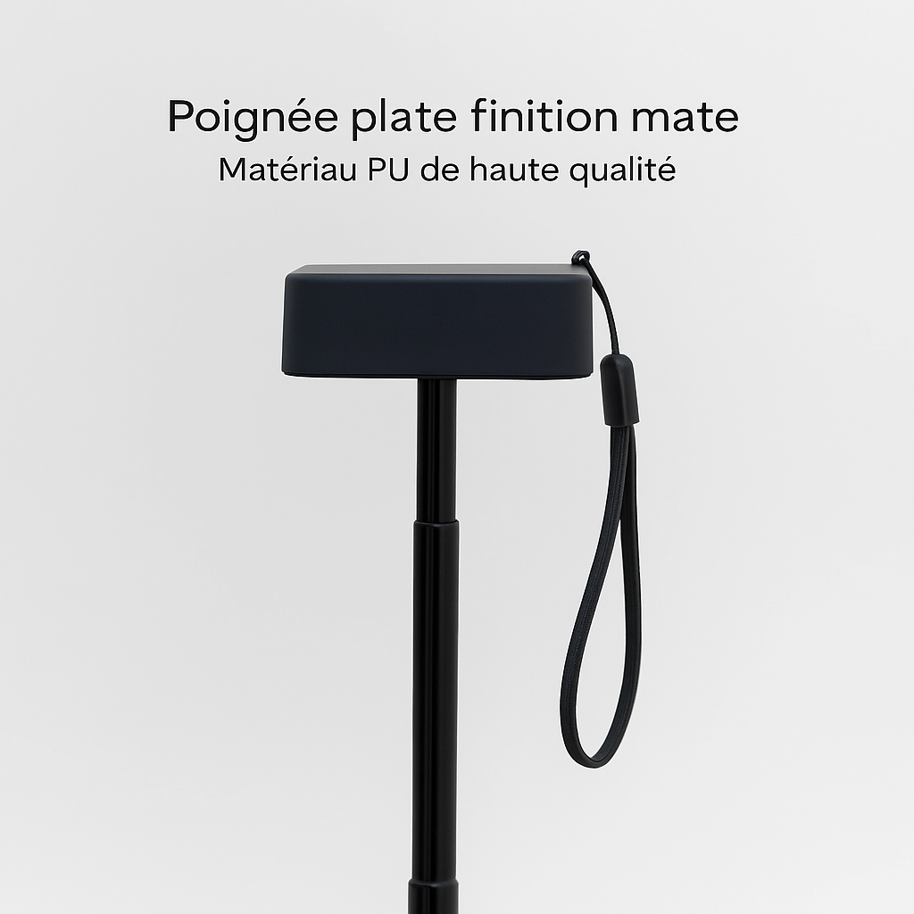 PARACHASE6001 - Parapluie pliant compact, plat, léger