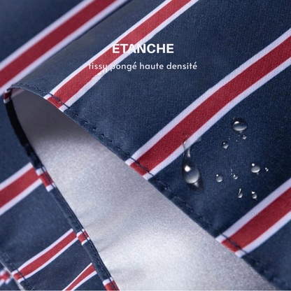 Parachase 7171 -Parapluie anglais, canne, led intégrée, multifonctions.