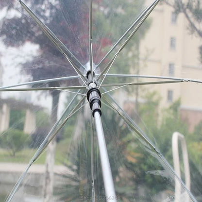 CrystalDôme - Parapluie transparent, dôme.