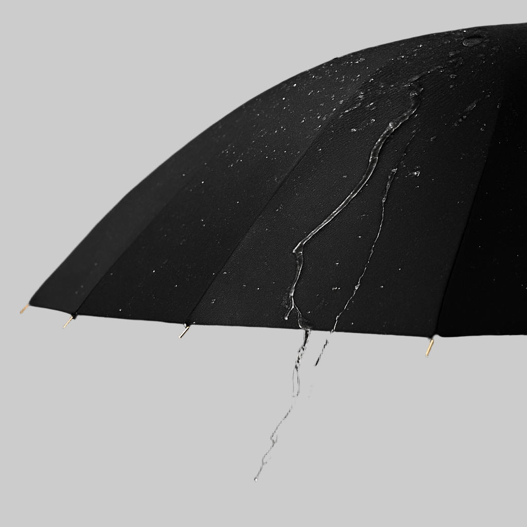 Maestral 24 - Parapluie long manche, large couverture, automatique.