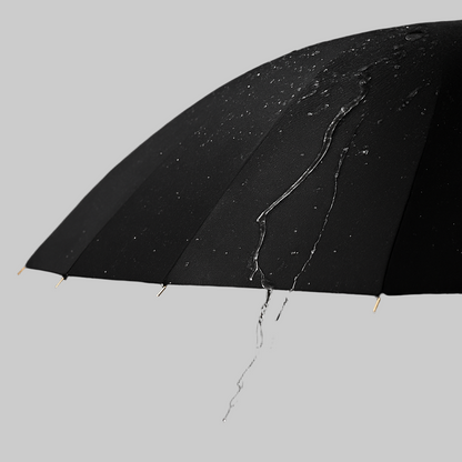 Maestral 24 - Parapluie long manche, large couverture, automatique.